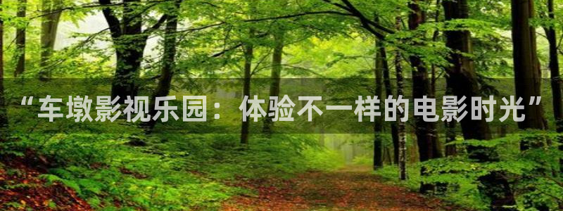日本伦理影院在线观看