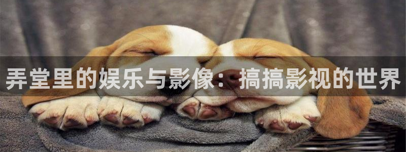 策驰伦理影院