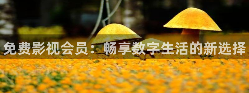 光棍伦理影院在线观看