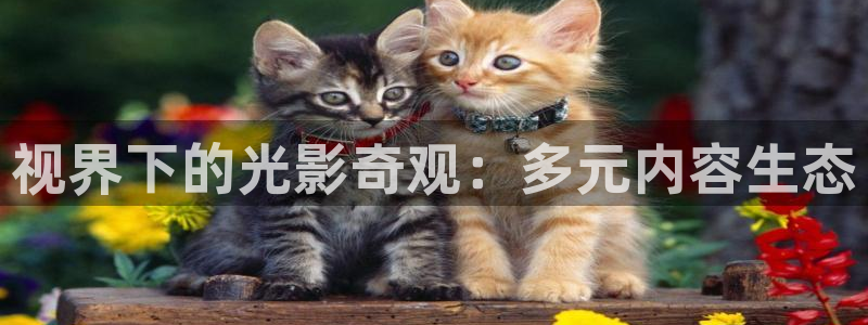 日本成人伦理影院