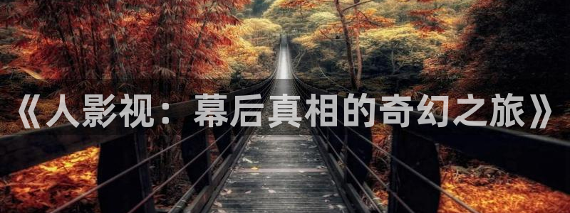 伦理影院免费