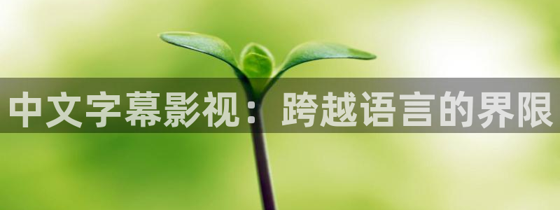 4480伦理影院