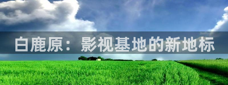 91伦理视频在线播放