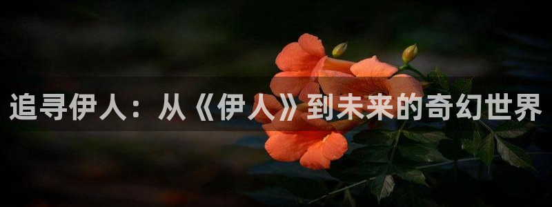 神马伦理影院网